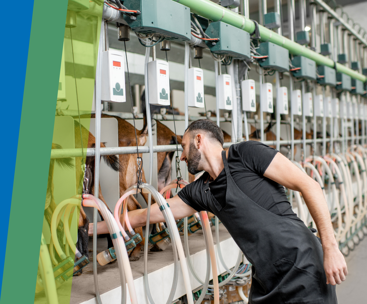 Tuyaux machine à traire